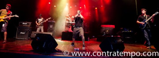 Trigger Made Solution