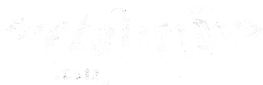 Metalicidio Logo